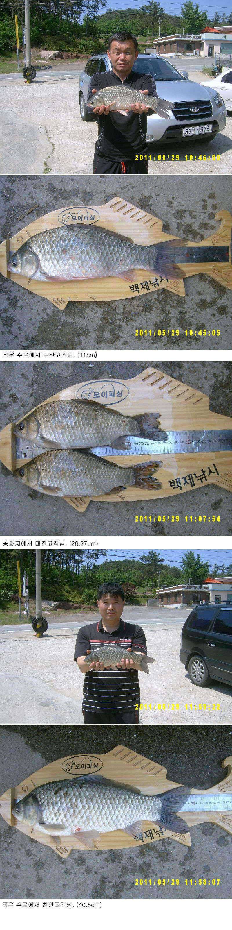조과사진 (조황조행기 - 특파원조황)