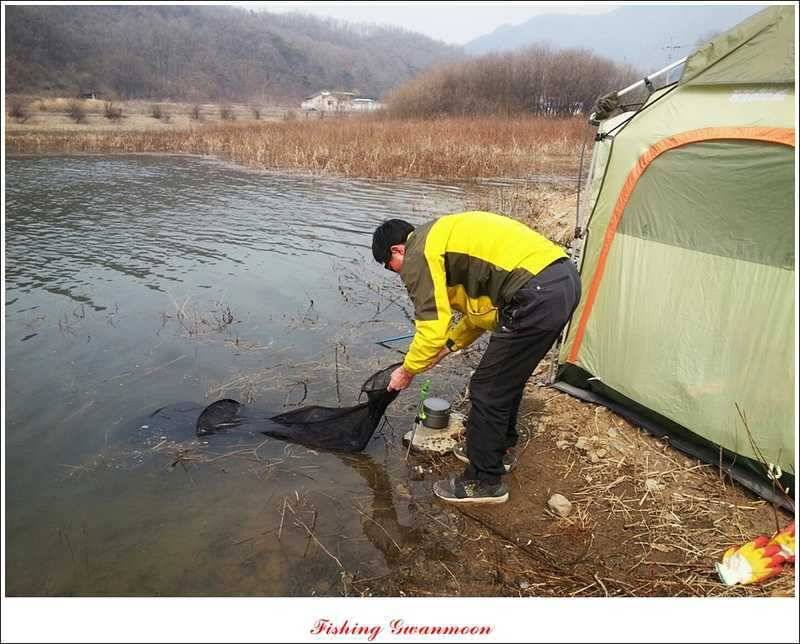 칠성지 사짜화곡지매전지 월척 조황 (조황조행기 - 특파원조황)