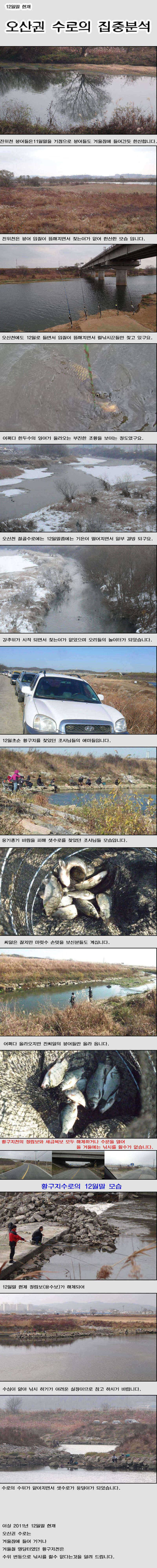 오산권 수로와 저수지 집중분석 (조황조행기 - 특파원조황)