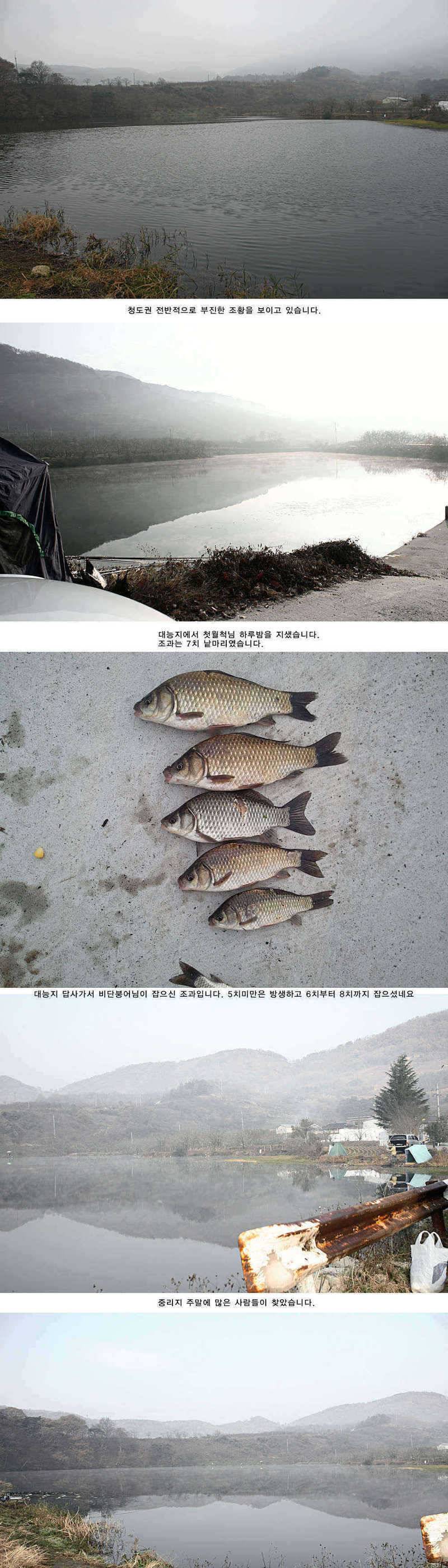 청도권 5째주 조황정보 (조황조행기 - 특파원조황)