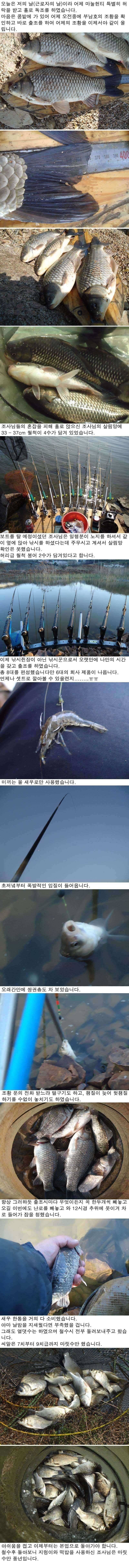 430 51 안면도권 및 부남호 조황 (조황조행기 - 특파원조황)