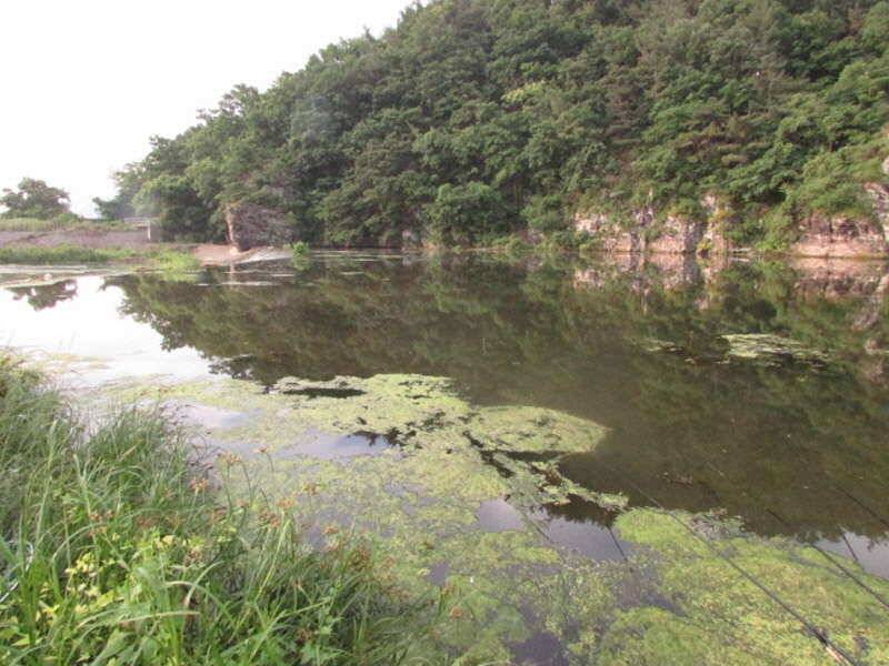 6월2째주 조황 입니다 (조황조행기 - 특파원조황)