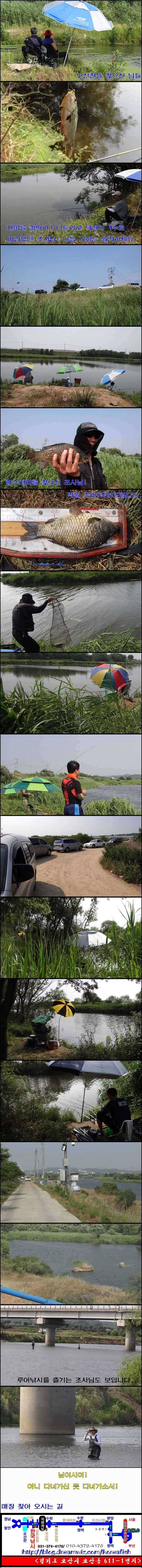 오산권 수로낚시이젠 밤낚시 시즌 만났네 (조황조행기 - 특파원조황)