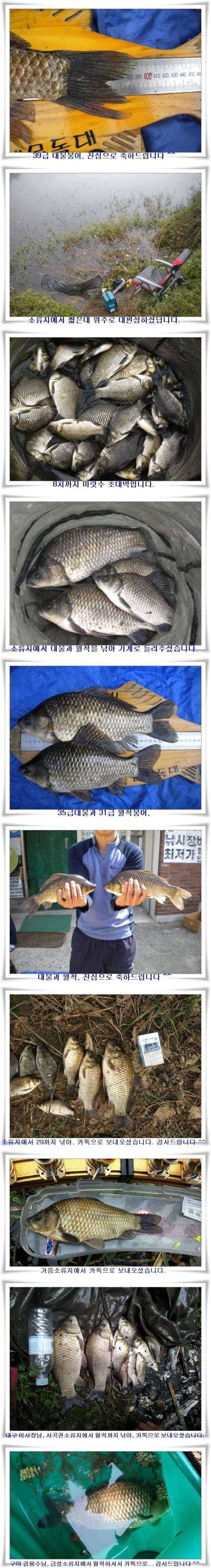 기록어의 계절 (조황조행기 - 특파원조황)