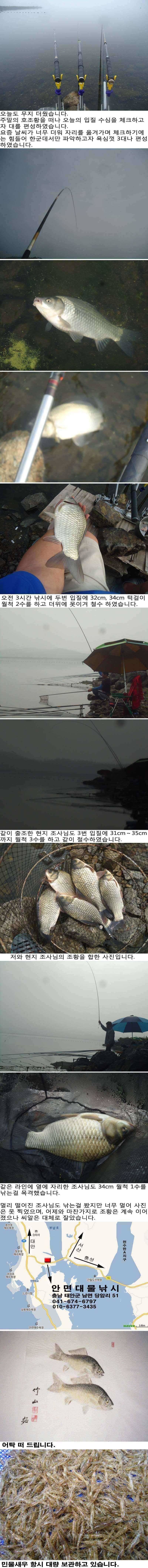 721 부남호 잔씨알의 월척급 조황 (조황조행기 - 특파원조황)