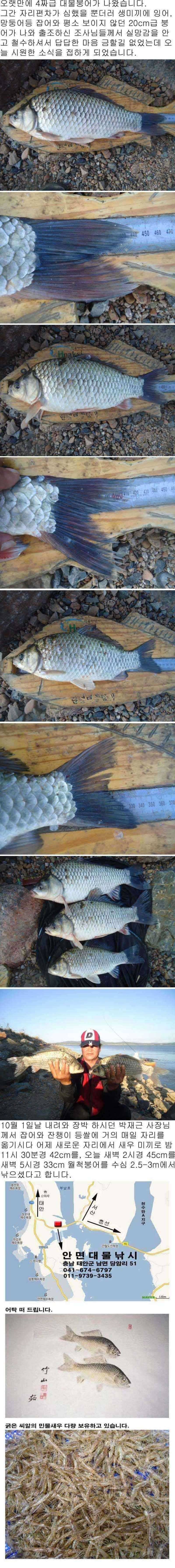 1010 부남호 45cm 42cm 조황 (조황조행기 - 특파원조황)