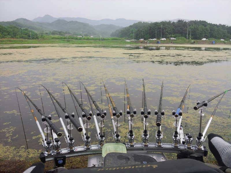 경산 자인권 조황정보 (조황조행기 - 특파원조황)