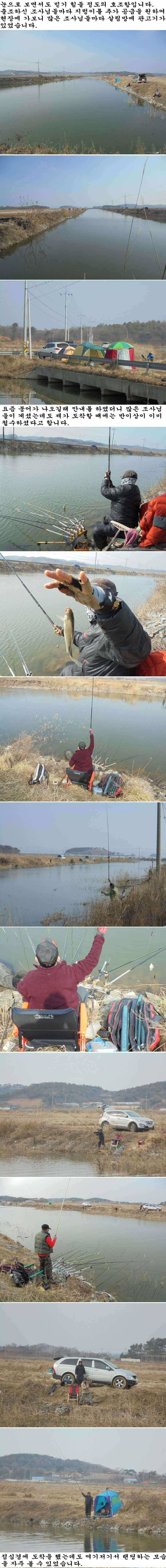 220 안면도권 수로 관고기 떼 조황 (조황조행기 - 특파원조황)