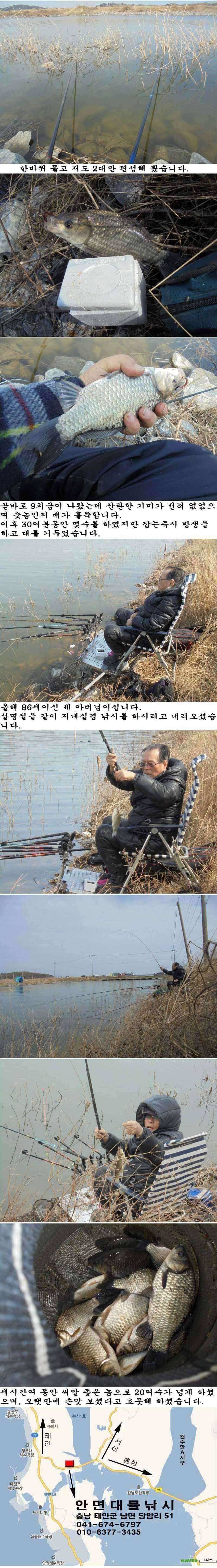 220 안면도권 수로 관고기 떼 조황 (조황조행기 - 특파원조황)