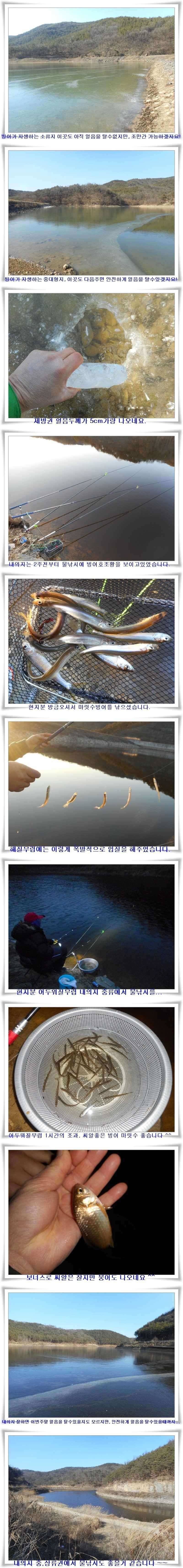 군위빙어터 빙질 (조황조행기 - 특파원조황)