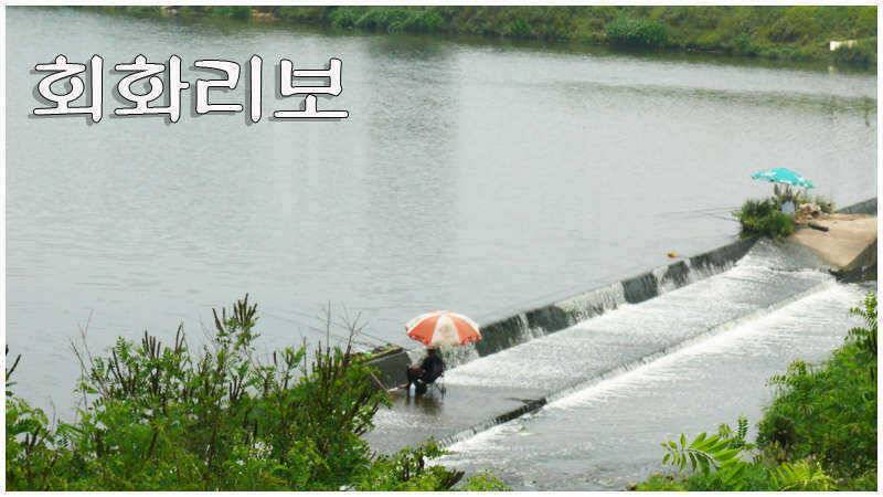 낚시와 무더위를 식히는 법 (조황조행기 - 특파원조황)