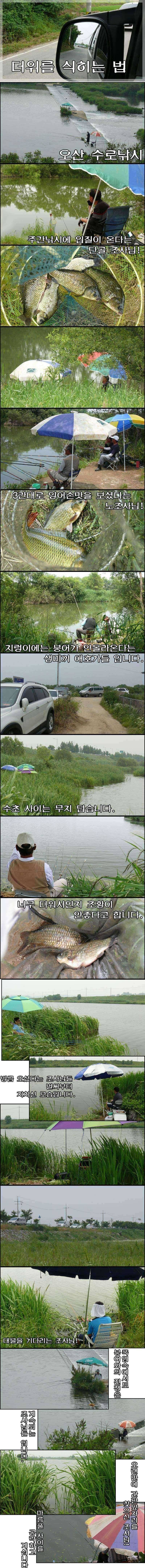 낚시와 무더위를 식히는 법 (조황조행기 - 특파원조황)