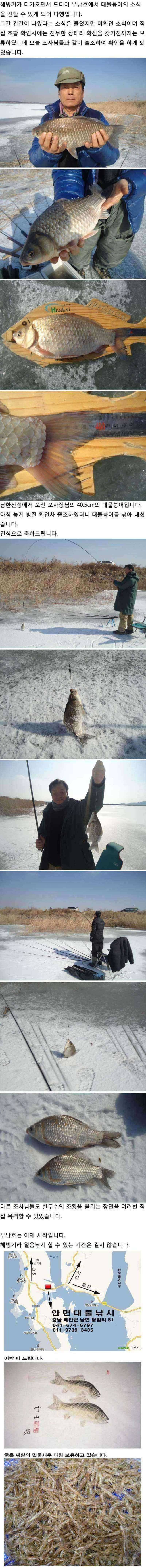 부남호 드디어 터졌습니다 (조황조행기 - 특파원조황)