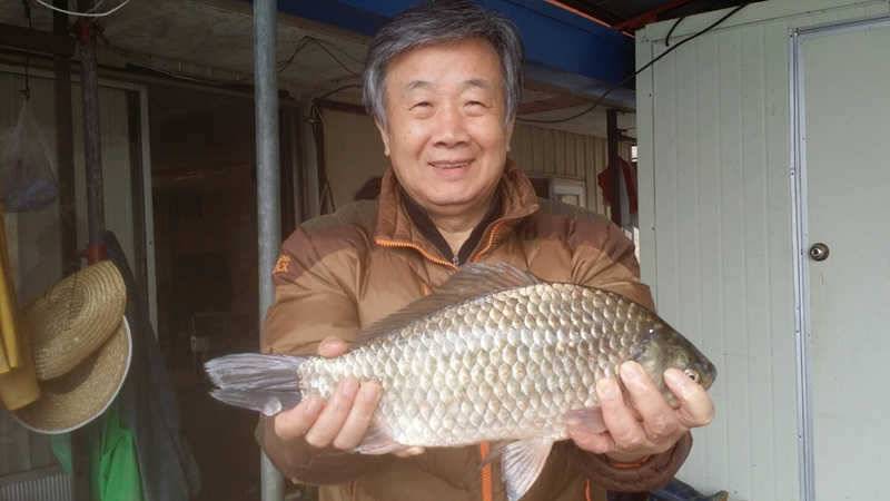 하천리 41cm 대물붕어 소식 (조황조행기 - 특파원조황)