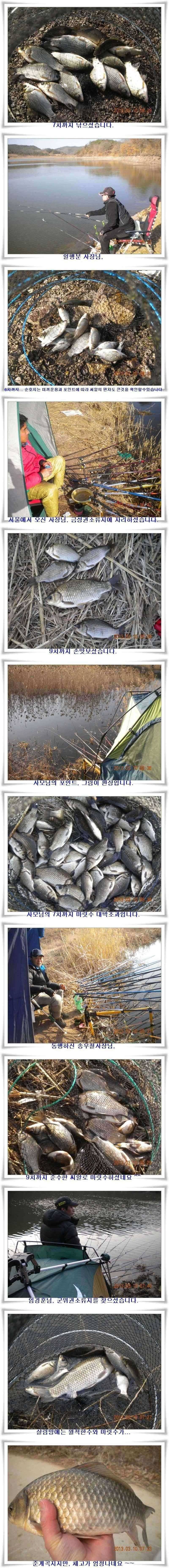 한발앞선 호조황 (조황조행기 - 특파원조황)