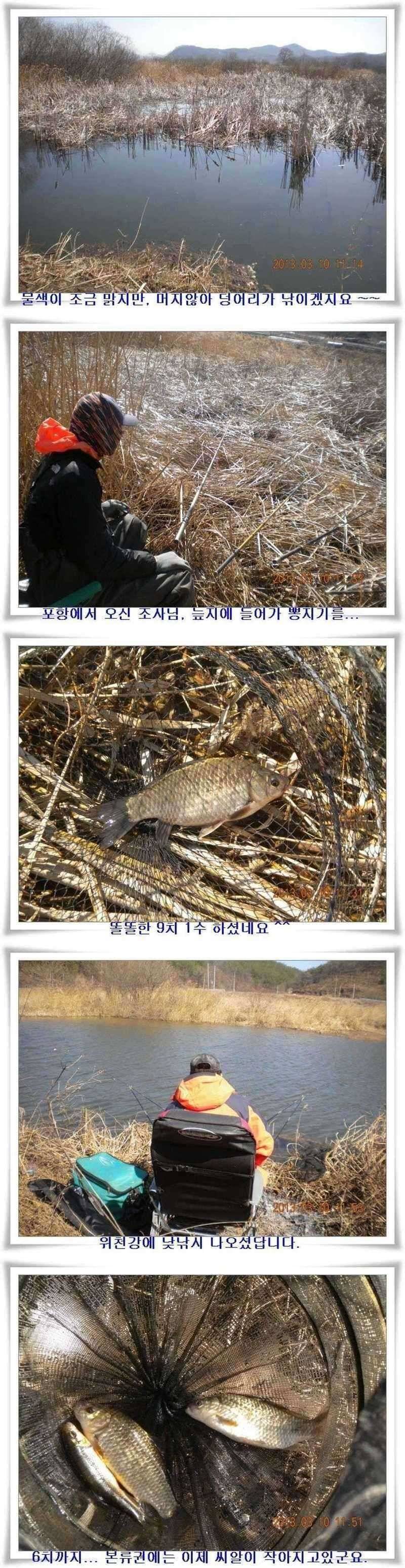 한발앞선 호조황 (조황조행기 - 특파원조황)