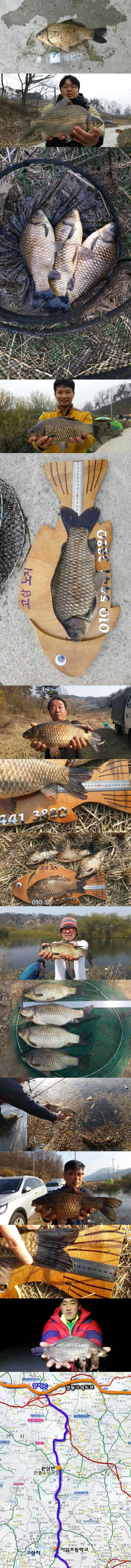 고삼지 노지에서 4짜들이 (조황조행기 - 특파원조황)