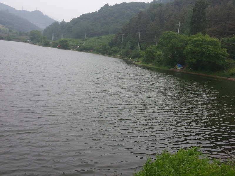 경산 자인권 조황정보 (조황조행기 - 특파원조황)