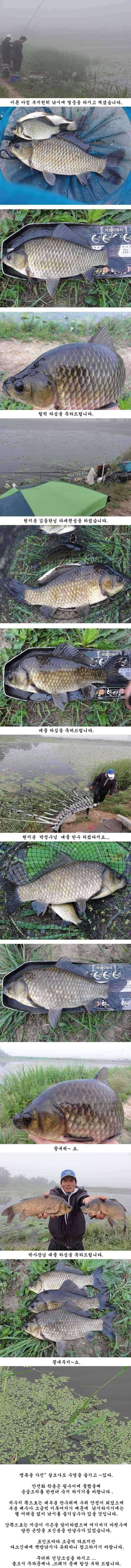 끝내줘요 (조황조행기 - 특파원조황)