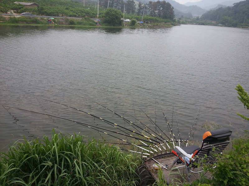 경산 자인권 조황정보 (조황조행기 - 특파원조황)