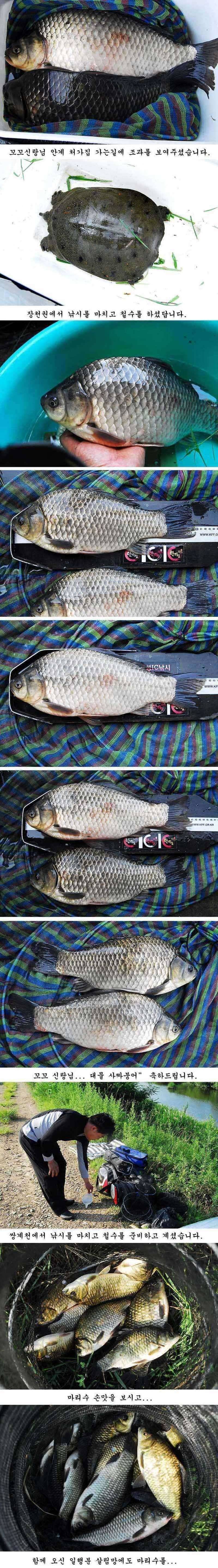 435cm그리고또 415cm (조황조행기 - 특파원조황)