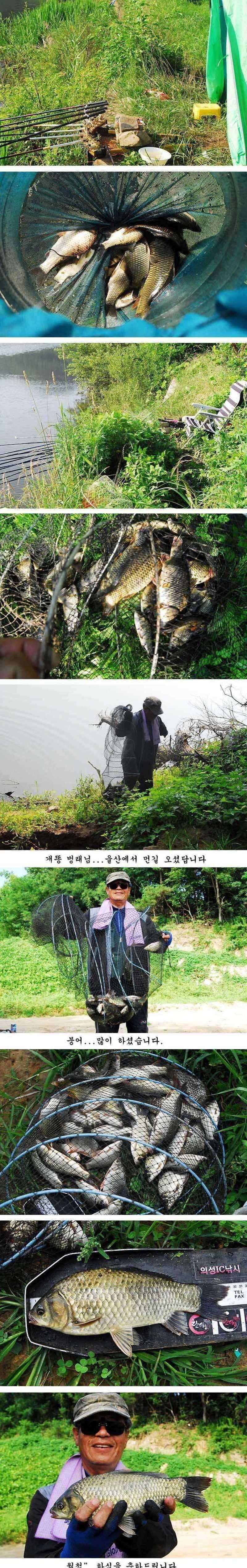 435cm그리고또 415cm (조황조행기 - 특파원조황)