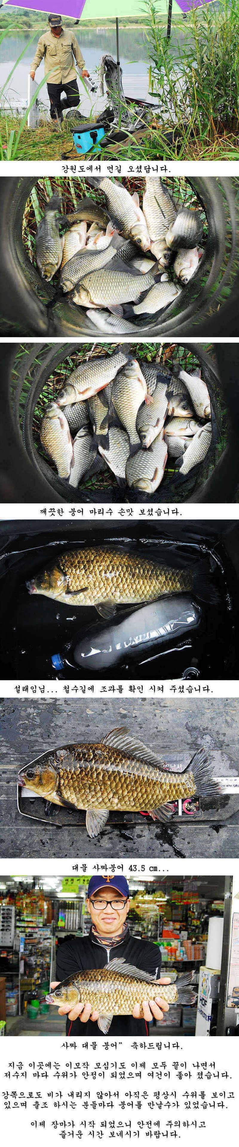 435cm그리고또 415cm (조황조행기 - 특파원조황)