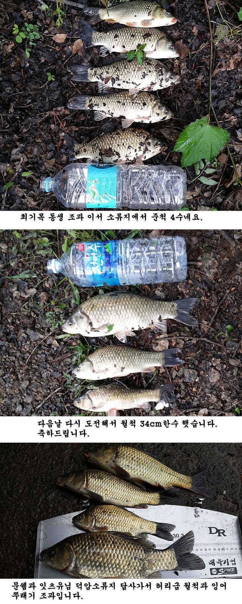 청도권 가을 시즌 빵빵 터집니다 (조황조행기 - 특파원조황)