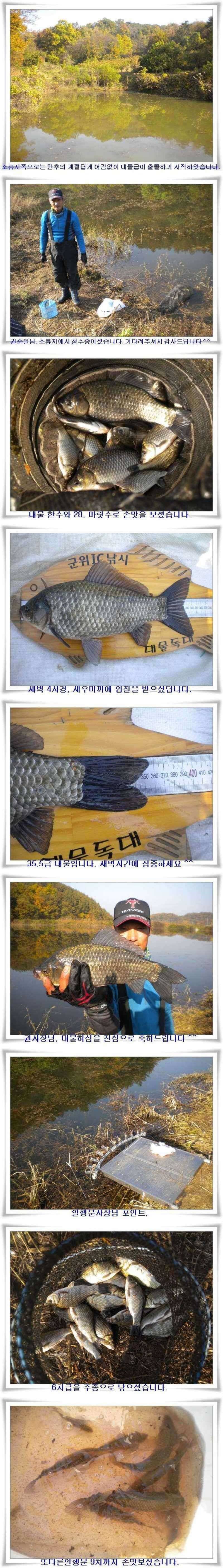 만추의 대물조황 (조황조행기 - 특파원조황)