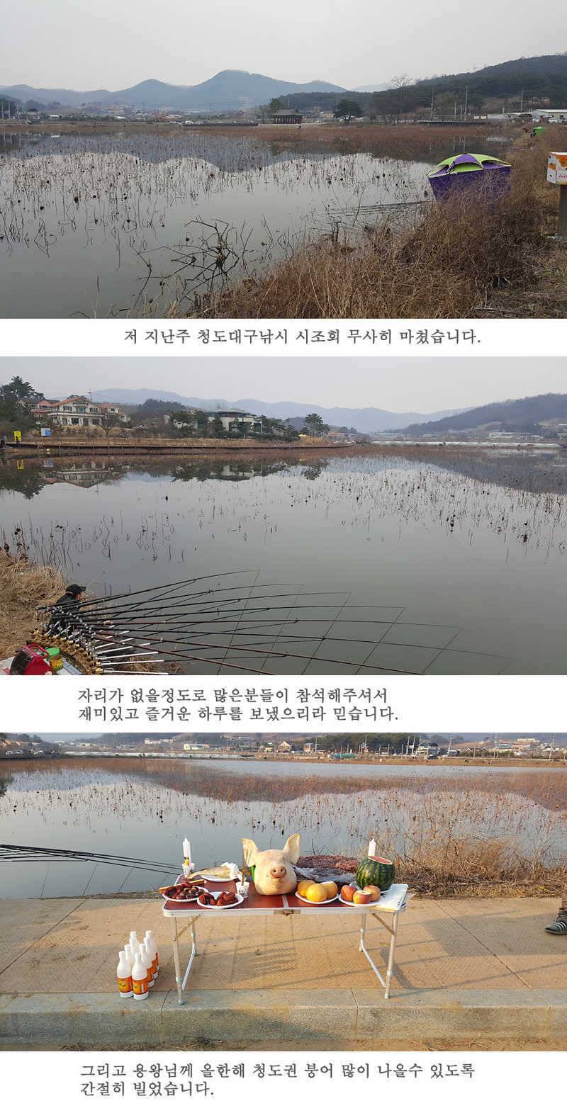 청도권 산란이 시작되었습니다 (조황조행기 - 특파원조황)