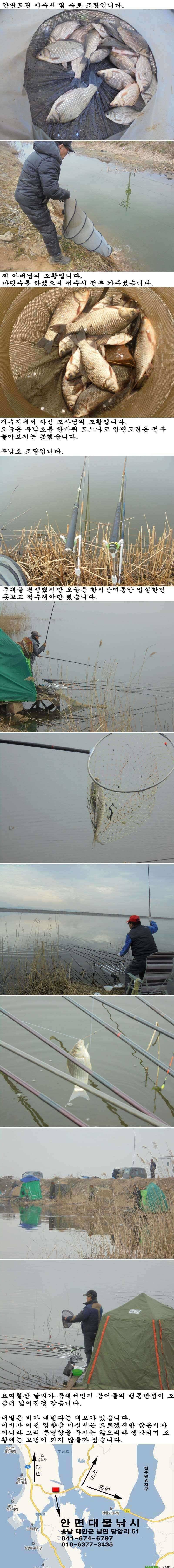 317 안면도권 저수지및 수로 부남호 조황 (조황조행기 - 특파원조황)