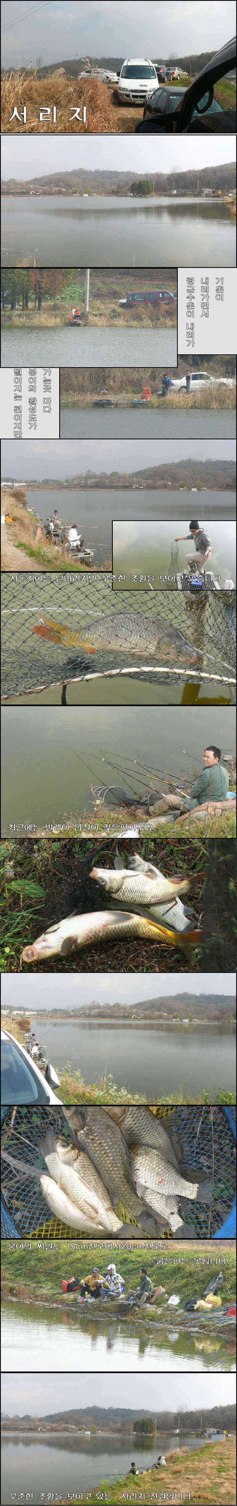 늦가을 오산권 수로낚시와 저수지 (조황조행기 - 특파원조황)