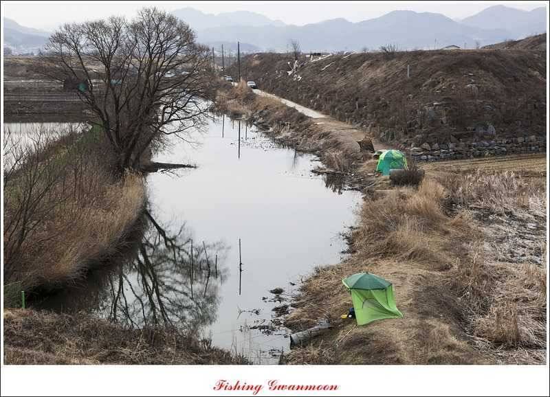 달천강괴산권 조황 (조황조행기 - 특파원조황)