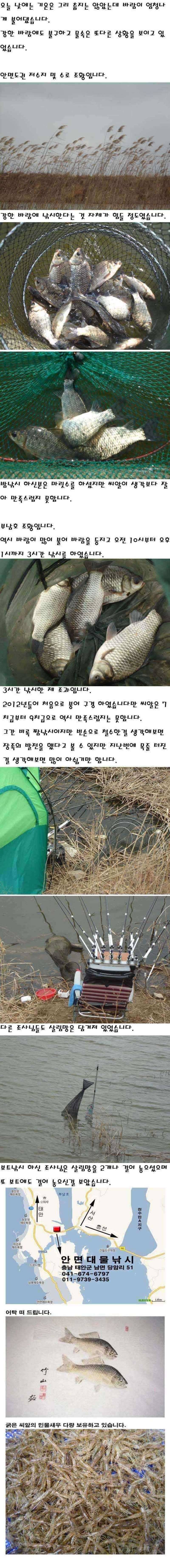 314 안면도권 저수지 및 수로 부남호 조황 안내 (조황조행기 - 특파원조황)