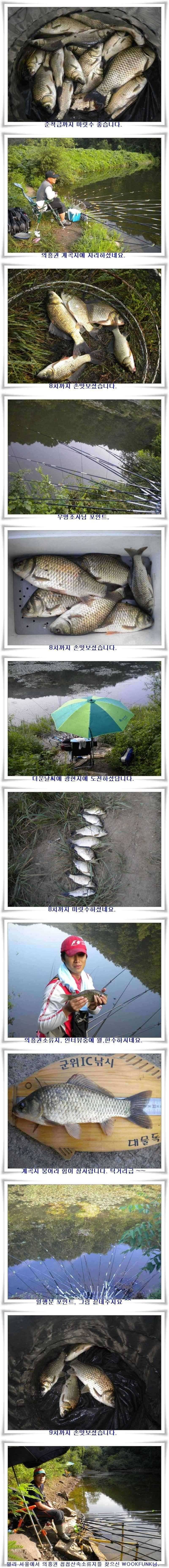36대물과 가을시즌돌입 (조황조행기 - 특파원조황)