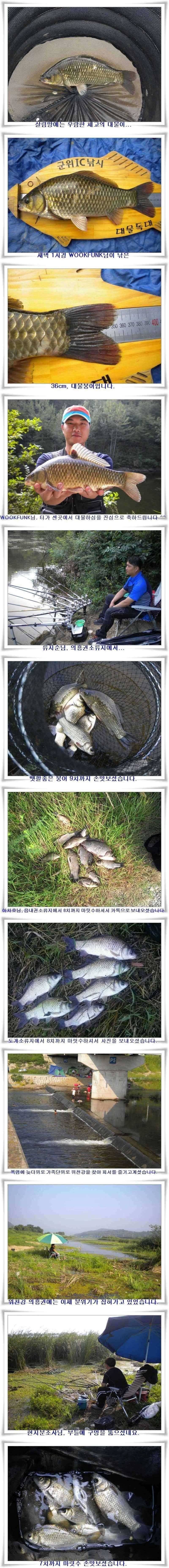 36대물과 가을시즌돌입 (조황조행기 - 특파원조황)