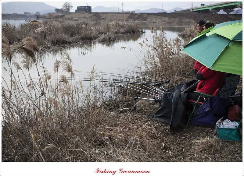 달천강괴산권 조황 (조황조행기 - 특파원조황)