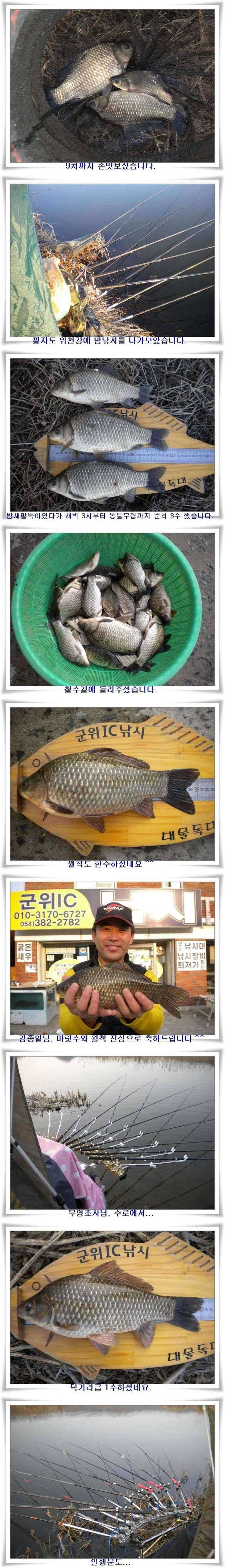 대물과 월척 마릿수 (조황조행기 - 특파원조황)