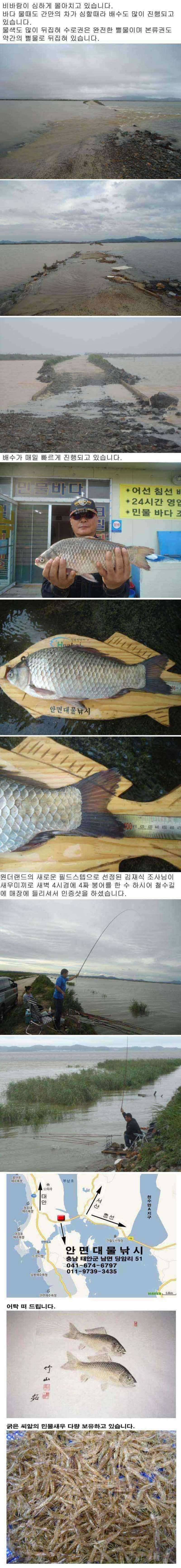 부남호 주말조황 안내 (조황조행기 - 특파원조황)