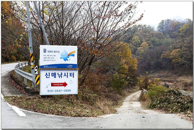 신매 낚시터 사짜칠성지 사짜 (조황조행기 - 특파원조황)