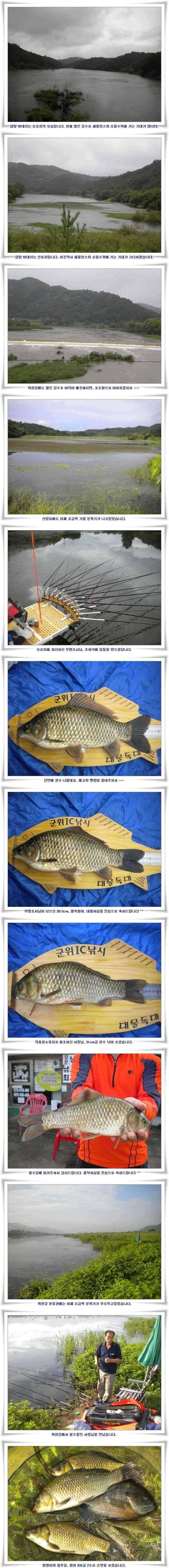대물 출현과 새물찬스 유망터들 (조황조행기 - 특파원조황)