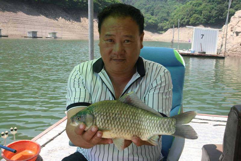 충주호 덕곡리무난한 조황입니다 (조황조행기 - 특파원조황)
