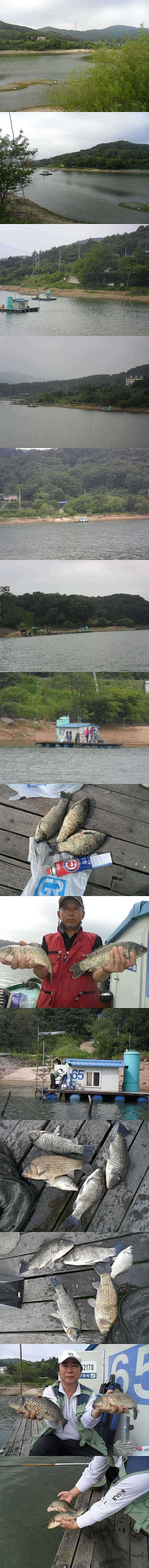 덕산지 배수기때 이 정도면 (조황조행기 - 특파원조황)