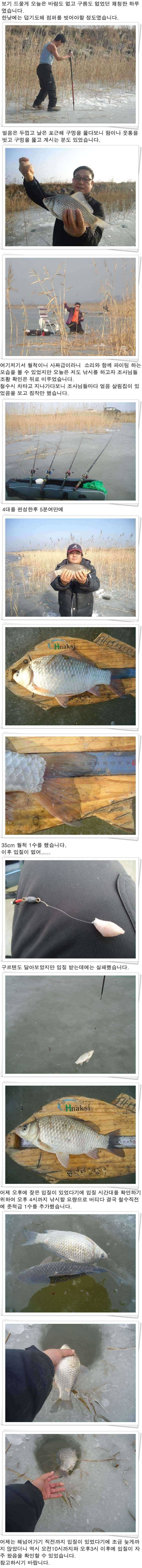 131 부남호 얼음낚시 조황 (조황조행기 - 특파원조황)
