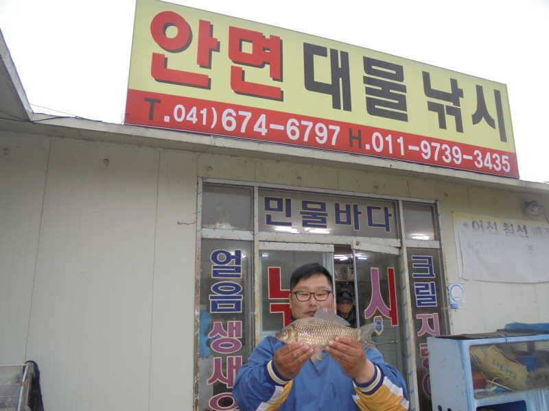 319 안면도권 저수지 및 수로 조황 (조황조행기 - 특파원조황)