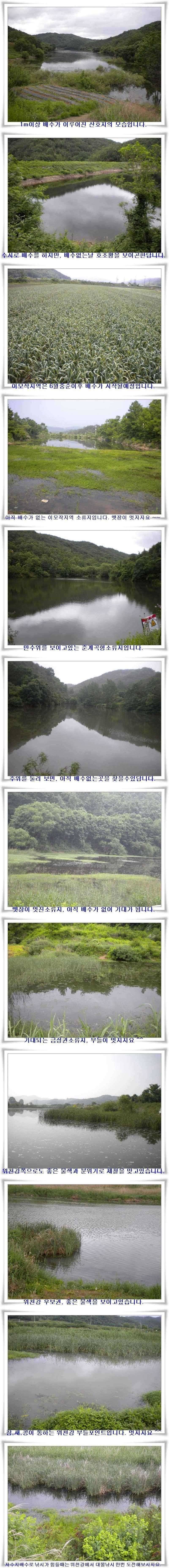 4짜형제와 대물월척들 (조황조행기 - 특파원조황)