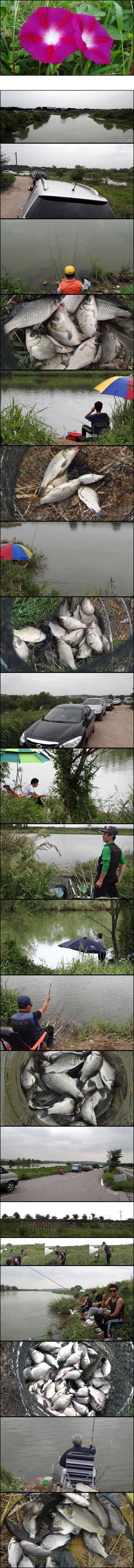 오산권 수로낚시 마릿수 호황 (조황조행기 - 특파원조황)