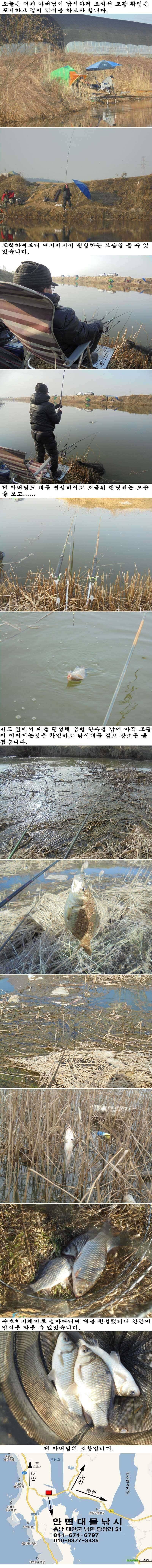 315 부남호 주말 조황 (조황조행기 - 특파원조황)