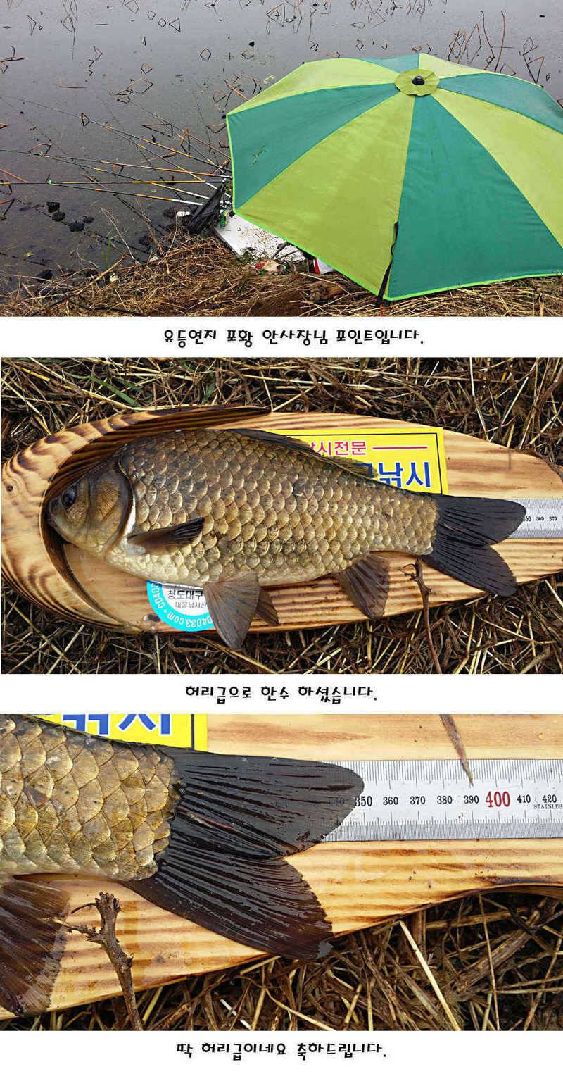 청도권 허리급에서 4짜까지 (조황조행기 - 특파원조황)