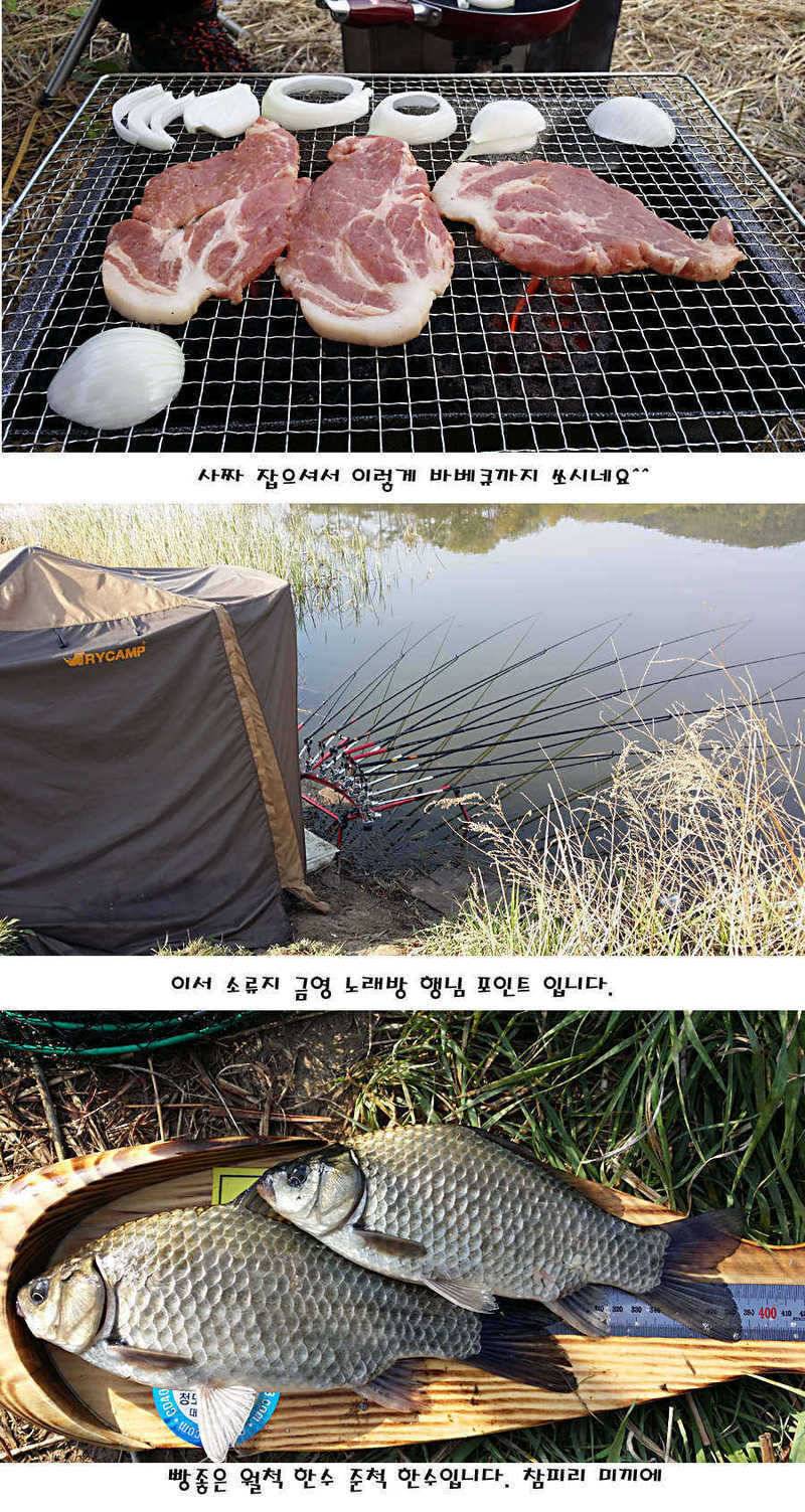 청도권 허리급에서 4짜까지 (조황조행기 - 특파원조황)
